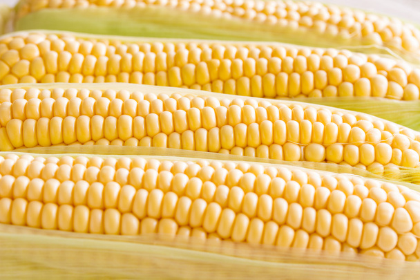 friss kukorica növényi - Fotó, kép