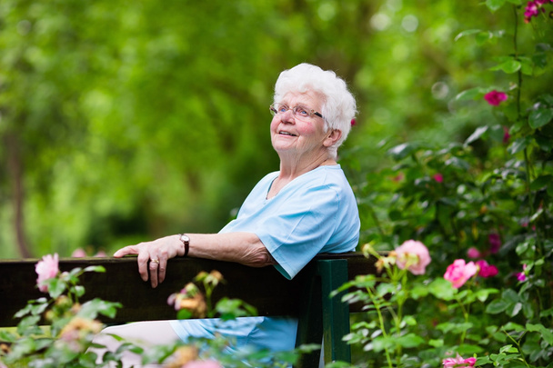 Starší dáma v růžové zahradě - Fotografie, Obrázek