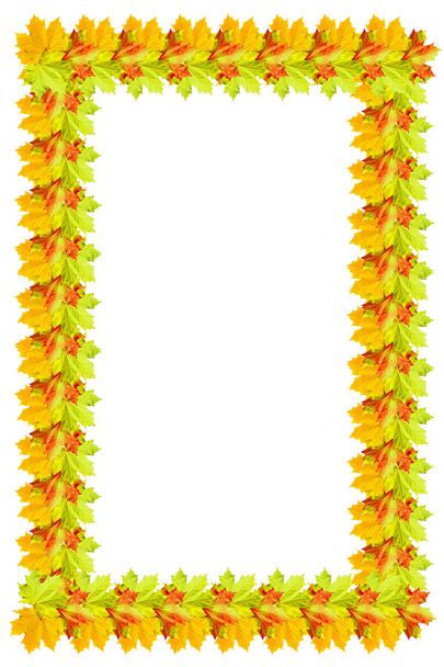 Осенняя листва. Золотая осень
.  - Фото, изображение