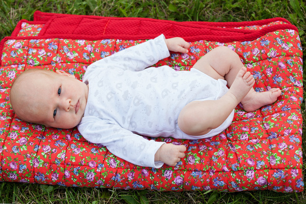 Newborn baby laying on a red blanket - Фото, зображення