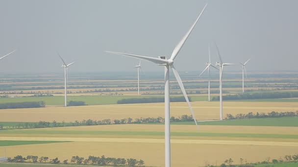 Éolienne sur un champ de blé en été
 - Séquence, vidéo