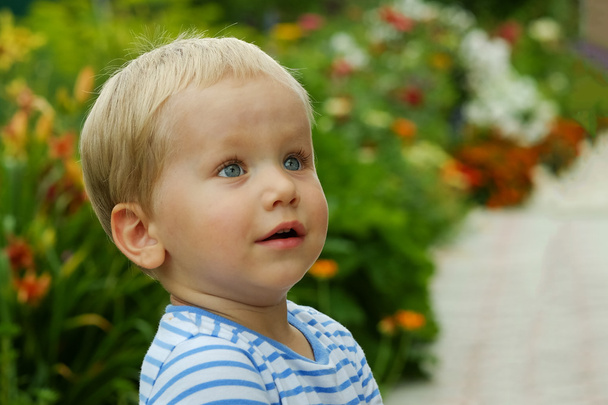 Portrait of little blond boy, summer outdoors - Φωτογραφία, εικόνα