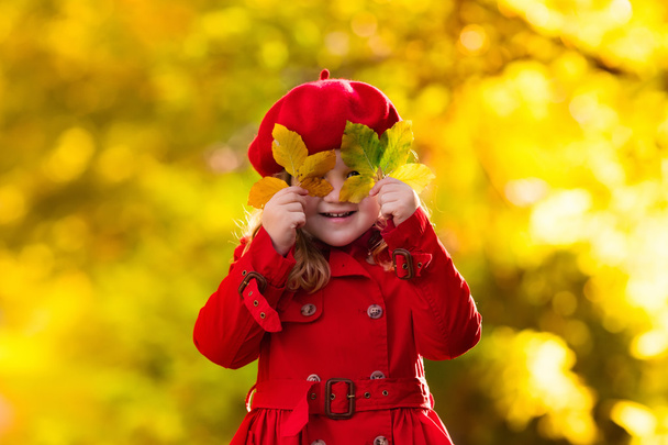 klein meisje in de herfst park - Foto, afbeelding