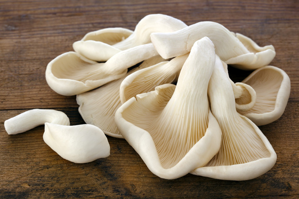 Cogumelos de ostra na madeira velha
 - Foto, Imagem