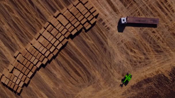     ベール、トラクター、フォーク リフトが収穫の畑の空撮  - 映像、動画