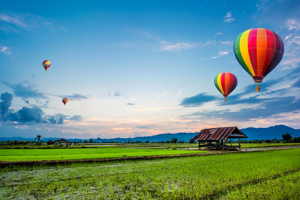 повітряні кулі літають над свіжим рисовим полем на красивому заході сонця
 - Фото, зображення