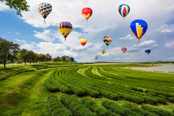 Balões de ar quente voando sobre plantação de chá verde
 - Foto, Imagem