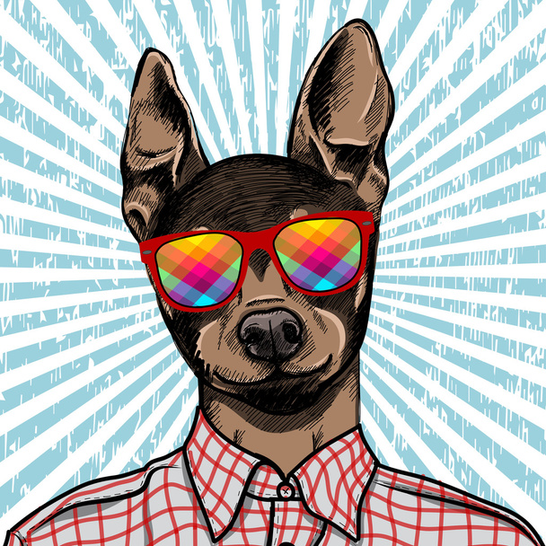 Ilustración de moda dibujada a mano de Toy Terrier inglés vestido, en colores. Vector
 - Vector, imagen