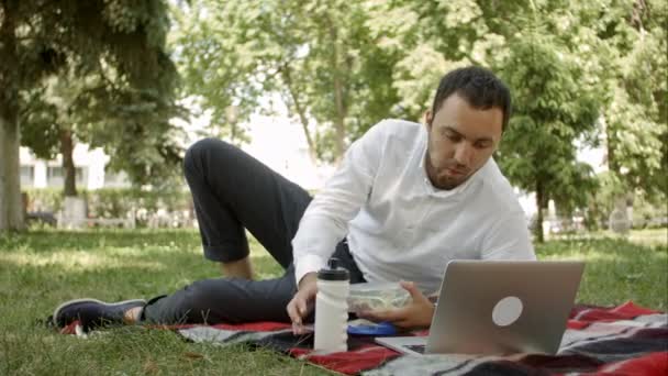 Erfolgreicher Mann arbeitet mit Laptop auf dem Feld - Filmmaterial, Video