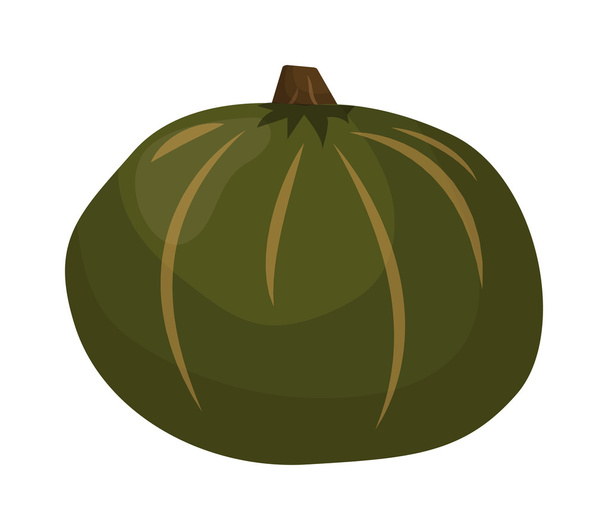 Pumpkin isolated vector. - Vector, afbeelding