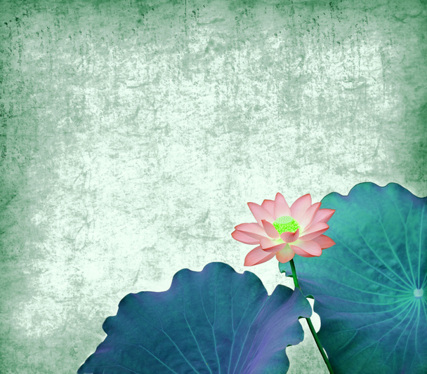 Water Lily op grunge textuur achtergrond - Foto, afbeelding