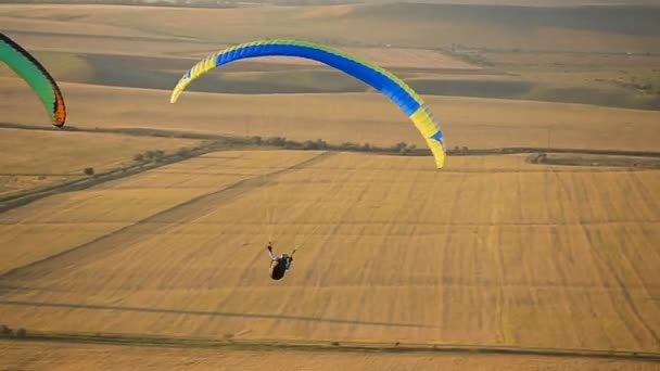 Paraglider in the sky over the steppe. - Footage, Video