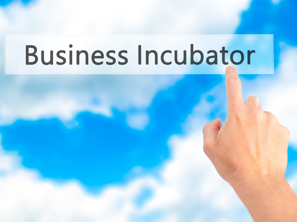 Business Incubator - Hand indrukken van een knop op wazig pagina - Foto, afbeelding
