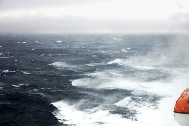 Durva tengerek és hullámok - Fotó, kép