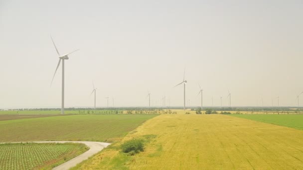 Větrná turbína na poli pšenice, v létě - Záběry, video