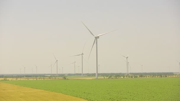 turbina eolica su un campo di grano in estate
 - Filmati, video