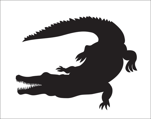 picture of silhouette of crocodile - Vector, Image