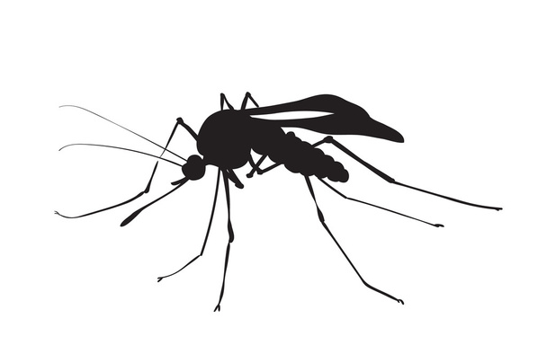 Imagen de la silueta de un mosquito
 - Vector, imagen