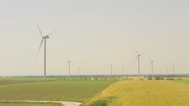 Windturbine op een tarweveld in de zomer - Video