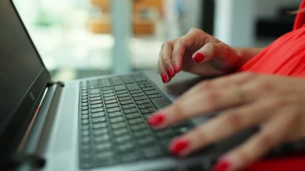 Bilgisayarda yazarak kadın eller - Video, Çekim
