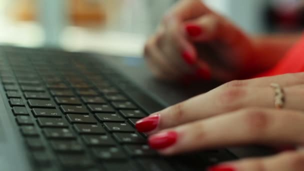 Bilgisayarda yazarak kadın eller - Video, Çekim