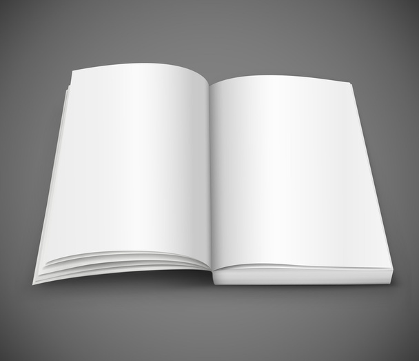 kitap yayılması ile boş bir beyaz sayfa açmak - Vektör, Görsel