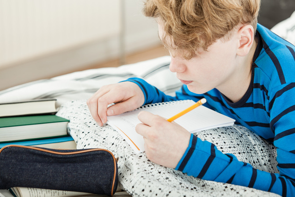 Genç delikanlı ödevini yapıyor - Fotoğraf, Görsel