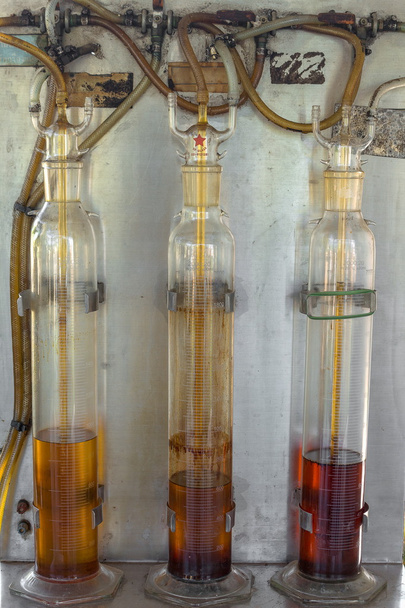 Palmolie afgeleid biodiesel - Foto, afbeelding