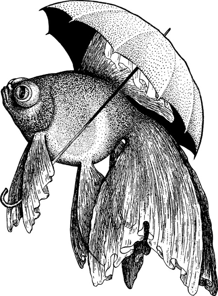 Vintage obrázek zlaté rybky ryby deštník - Fotografie, Obrázek