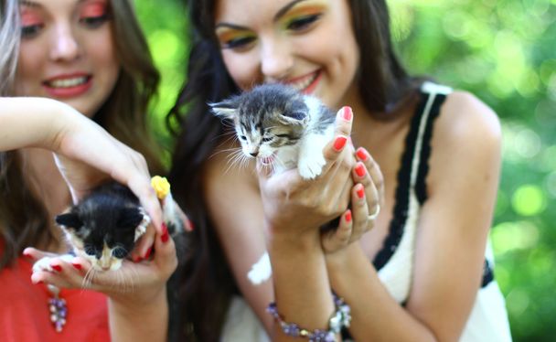 küçük yavru kedi ile genç ve güzel beyaz kızlar - Fotoğraf, Görsel