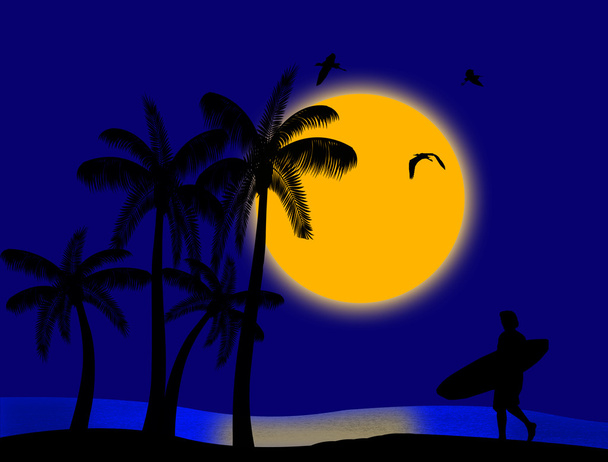 Sunset on tropical paradise - Vector, Image