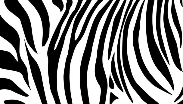 Zebrahintergrund. Zebrastreifen-Muster. schwarze Linien Vektordekor. tierische afrikanische Tapete. - Vektor, Bild