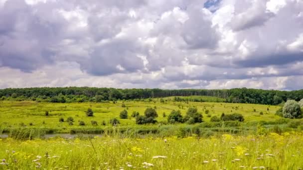 Time lapse. Wolken zweven over het veld, bos en rivier. Zomer. - Video