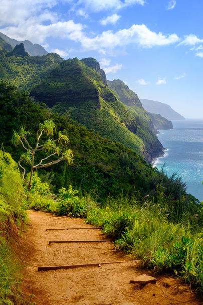 Landscape view of Na Pali coastline and Kalalau trail, Kauai - Photo, Image
