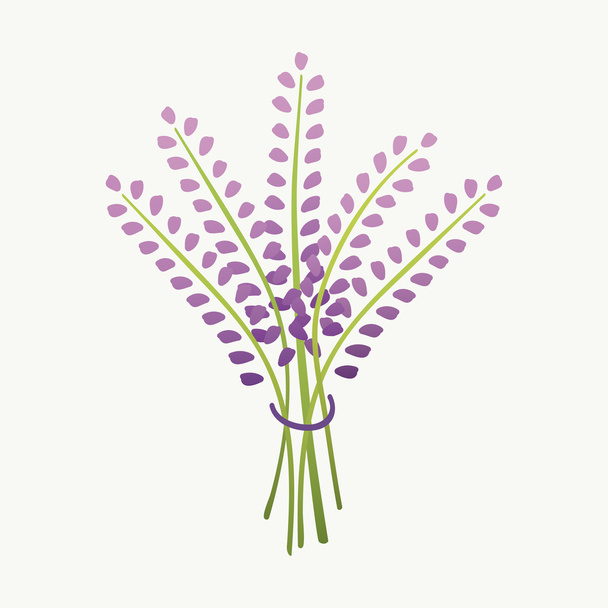 Simple lavender bouquet. Beautiful floral  romantic card. Vector illustration. - Vector, Imagen
