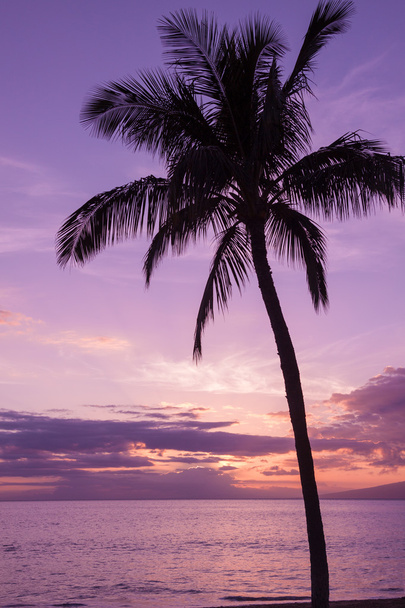 τροπικές της Χαβάης ηλιοβασίλεμα - Φωτογραφία, εικόνα