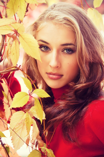 Beautiful autumn girl - Foto, Bild