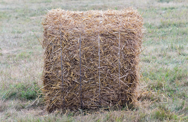 Een baal stro op een veld na de oogst. - Foto, afbeelding