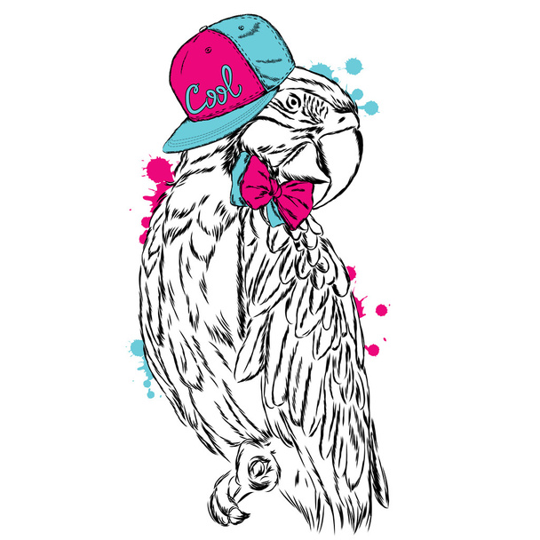 Funny parrot wearing a cap. Vector illustration. - Διάνυσμα, εικόνα