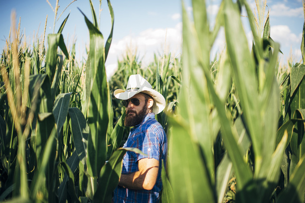 farmer in a corn field - Photo, Image