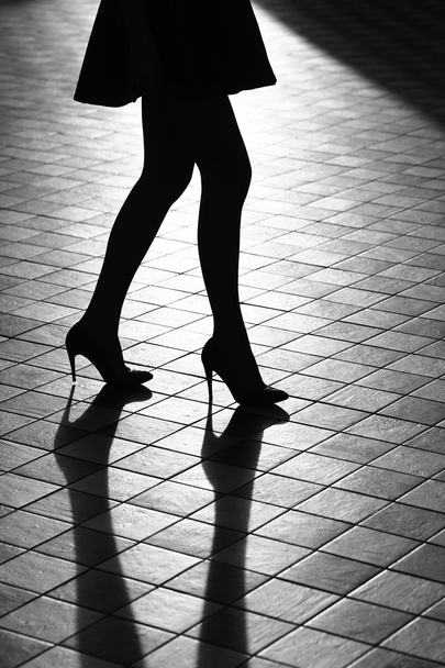 Female legs in stylish shoes - Foto, Imagen