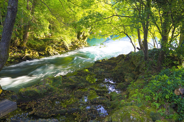     Stream Rzeka Una na słoneczny dzień  - Zdjęcie, obraz