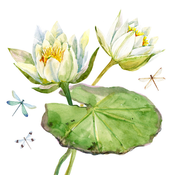 Watercolor lotus flower - Valokuva, kuva