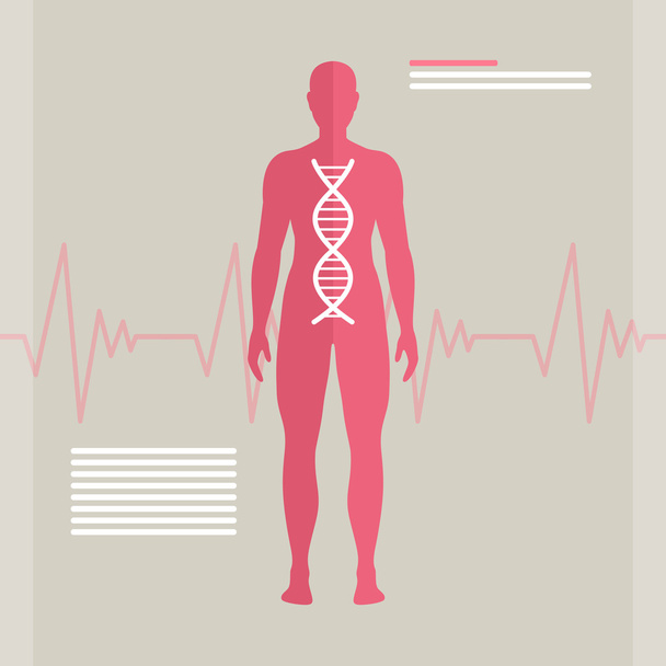 Vector Human DNA - Vector, Image