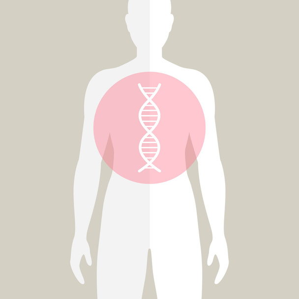 Vector Human DNA - ベクター画像