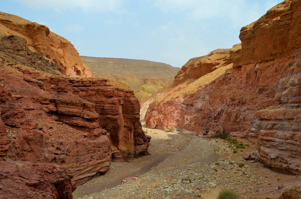 イスラエル南部のエイラートの山でレッド キャニオンの美しい砂岩の崖. - 写真・画像
