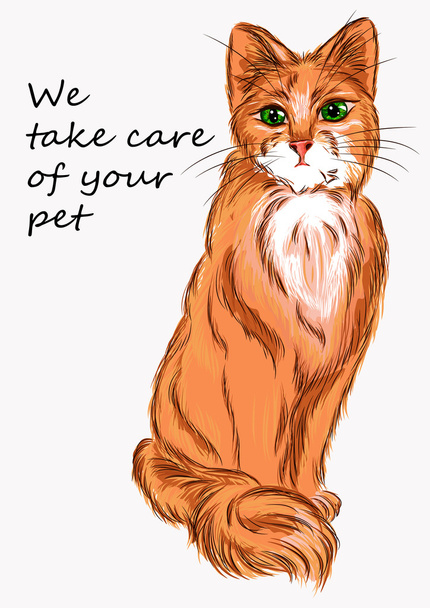 Ilustración gato para publicidad de productos para animales y veterinaria
 - Vector, imagen