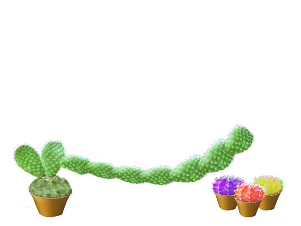 vihreä kaktus pitkä käsi ja kolme kaktus väri pallo ystävä kivi
  - Valokuva, kuva