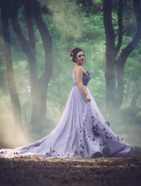 Lady in a luxury lush purple dress - Foto, Imagen