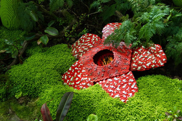 Труп квітка була зроблена з пазова пластикові Цегла іграшку. Наукова назва є Rafflesia kerrii, Rafflesia arnoldii, квітка Stinking труп. Найбільших квітка в світі. - Фото, зображення